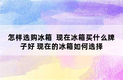 怎样选购冰箱  现在冰箱买什么牌子好 现在的冰箱如何选择